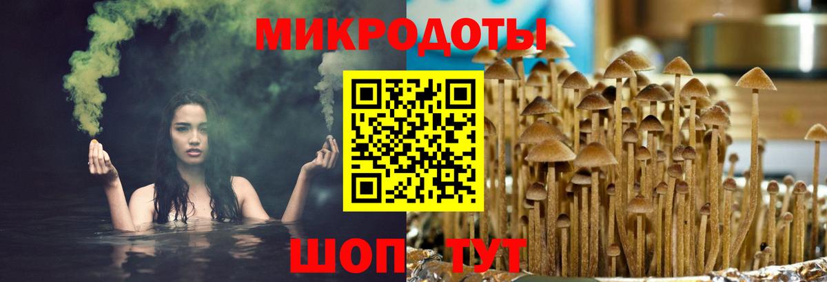 Галлюциногенные грибы прущие грибы  Вход с VPN  Менделеевск  Галлюциногенные грибы прущие грибы 
