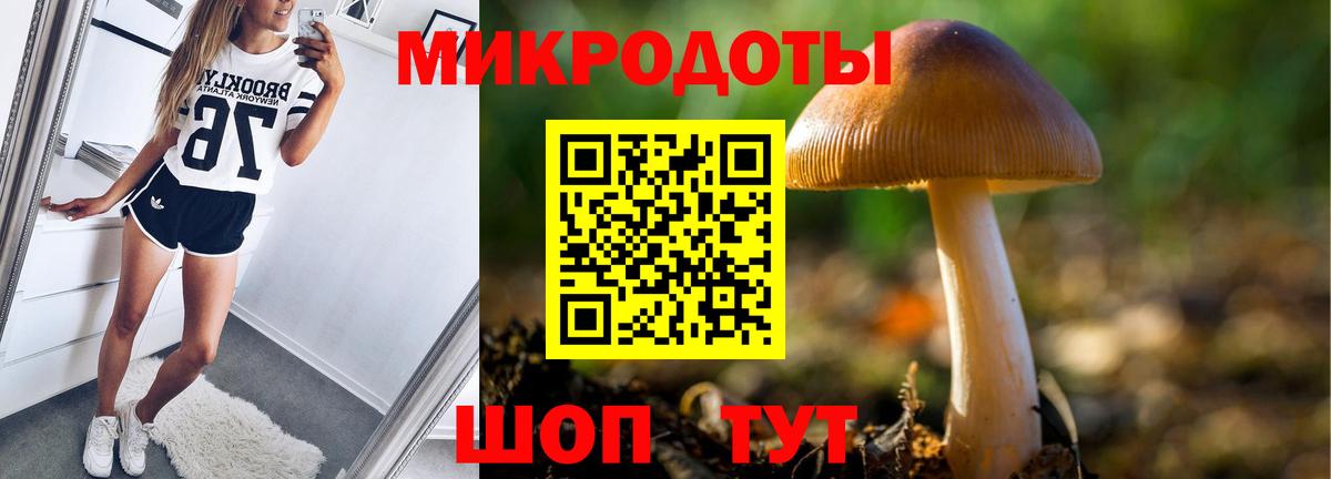 Псилоцибиновые грибы мухоморы Менделеевск